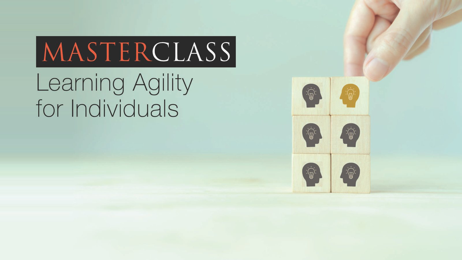 Learning Agility for Leaders
